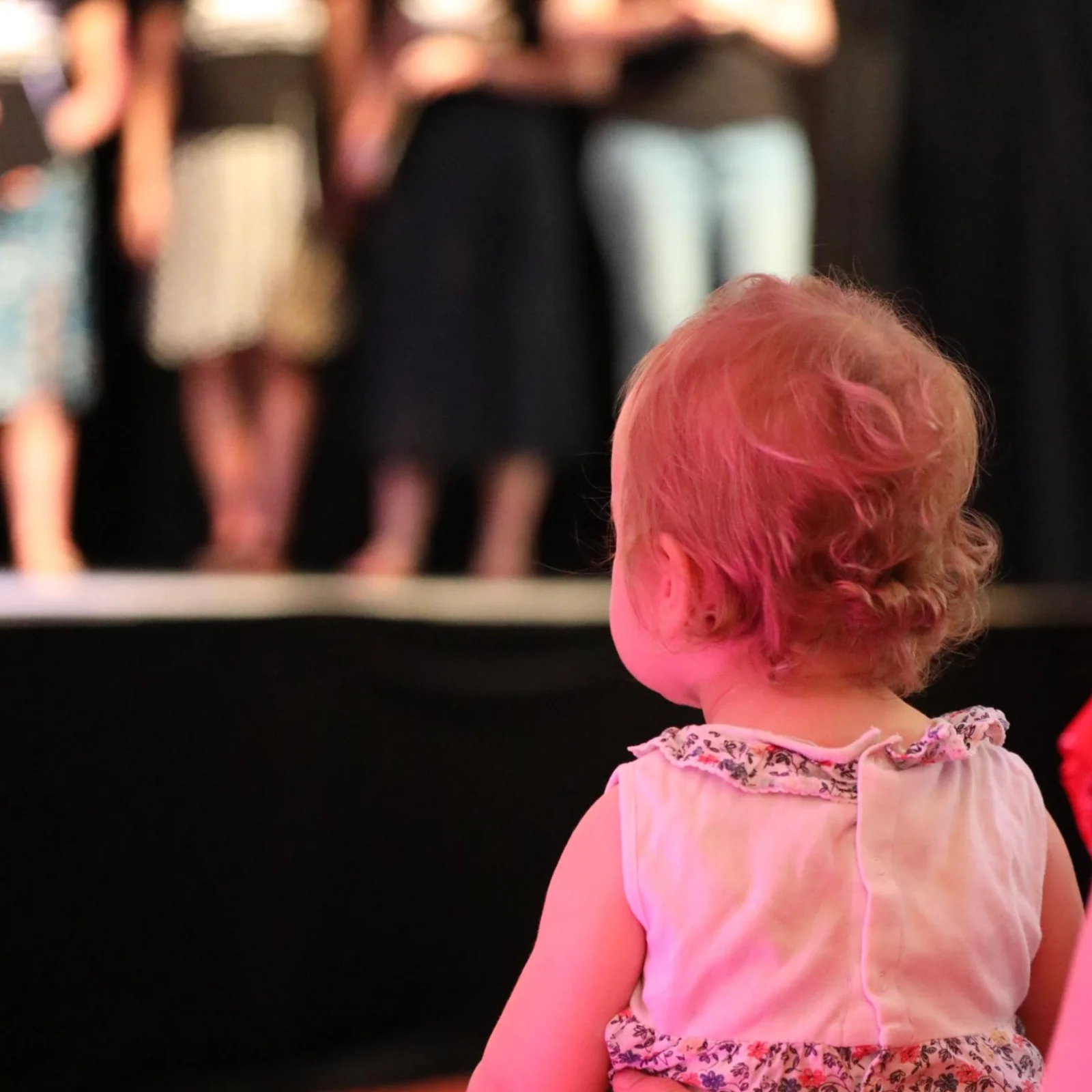 Concerts Bébés à l'Opéra : Les Animaux du Monde